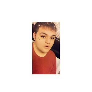 Meet your Posher, Hector